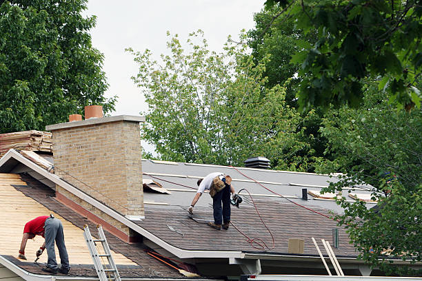 Best Storm Damage Roof Repair  in Marmet, WV